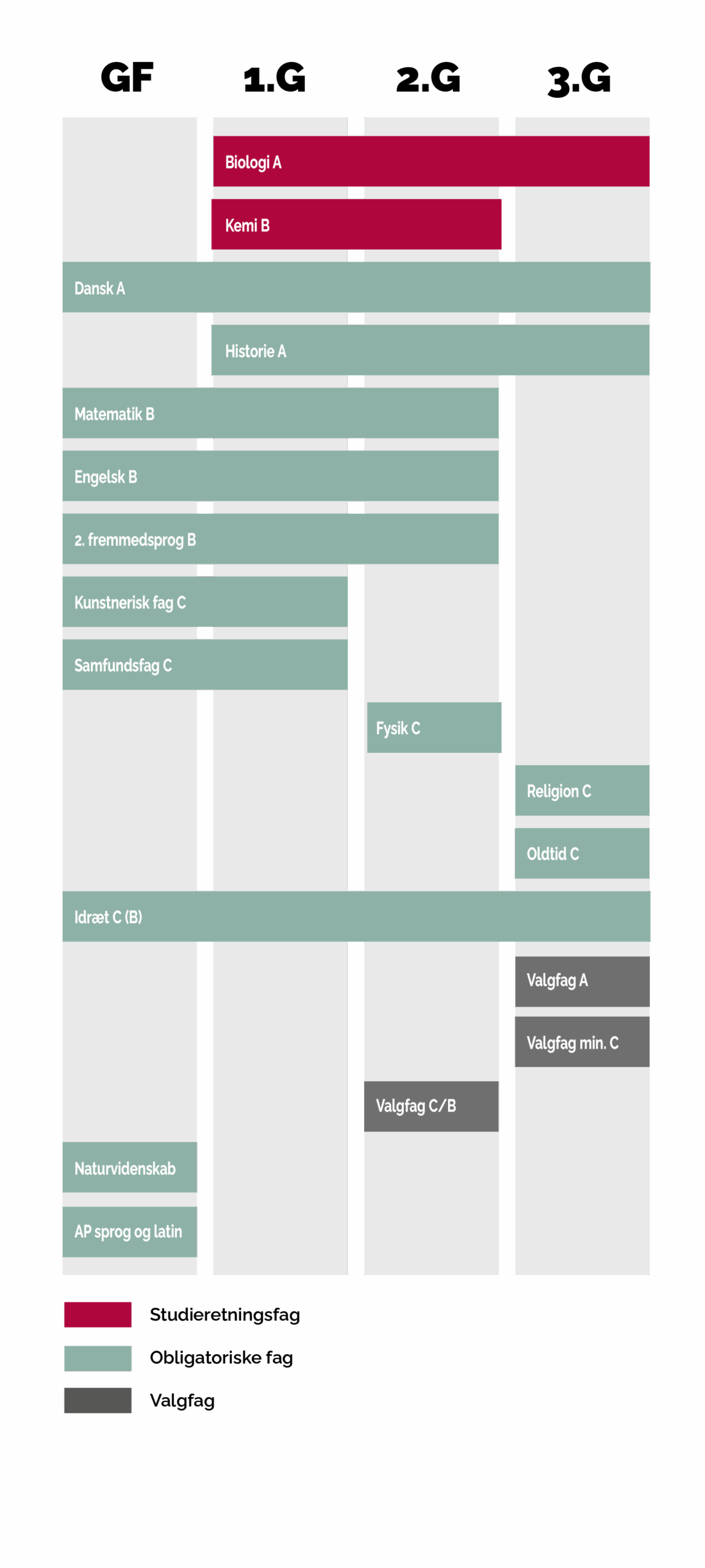 En grafisk model der viser, hvornår du har hvilke fag på denne studieretning. Af modellen fremgår følgende:
Biologi på A-niveau, som er et studieretningsfag, har du både i 1g., 2.g og 3.g.
Kemi på B-niveau, som er et studieretningsfag, har du i 1.g og 2.g.
Matematik på B-niveau, som er et obligatorisk fag, har du i grundforløb, 1.g og 2.g
Dansk på A-niveau, som er et obligatorisk fag, har du både i grundforløb, 1.g, 2.g og 3.g.
Historie på A-niveau, som er et obligatorisk fag, har du i 1.g, 2.g og 3.g.
Engelsk og 2. fremmedsprog på B-niveau, som begge er obligatoriske fag, har du i grundforløb, 1.g og 2.g
Samfundsfag og kunstnerisk fag på C-niveau, som begge er obligatoriske fag, har du i grundforløb og 1.g
Fysik på C-niveau, som er et obligatorisk fag, har du kun i 2.g.
Oldtidskundskab og religion på C-niveau, som er obligatoriske fag, har du i 3.g
Idræt på C-niveau, som er et obligatorisk fag, har du i grundforløb, 1.g, 2.g og 3.g.
NV og AP, som er obligatoriske fag, har du kun i grundforløb.
I 2.g har du et valgfag, som enten er et nyt C-niveau-fag eller et fag du hæver fra C-niveau til B-niveau. Derudover har du i 3.g to valgfag, som kan være et nyt valgfag på C-niveau, et C-niveau-fag, du hæver til B-niveau eller et valgfag, du hæver fra B-niveau til A-niveau.